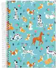 CADERNO C.D. 1X1 UMA STELLA